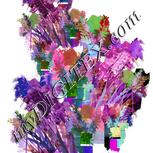 Colour:B
