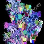Colour:F