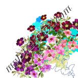 Colour:A