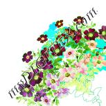 Colour:K