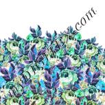 Colour:A