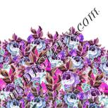 Colour:C
