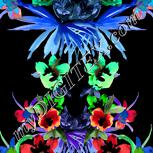 Colour:F