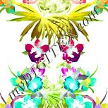 Colour:K