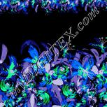 Colour:F