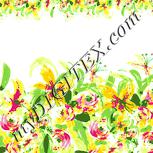 Colour:K