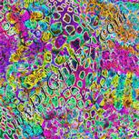 Colour:A