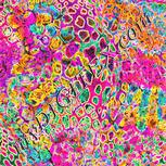 Colour:J