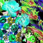 Colour:F