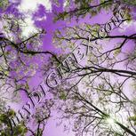 Colour:D