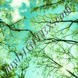 Colour:K