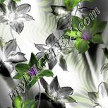 Colour:B