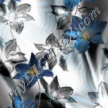 Colour:D