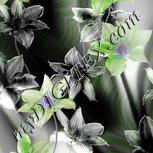 Colour:F