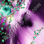 Colour:D
