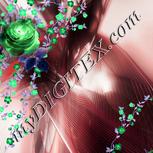 Colour:F