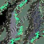 Colour:F