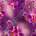 Colour:C