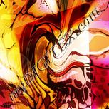 Colour:F