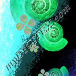 Colour:B