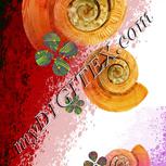 Colour:F