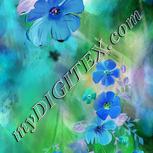 Colour:A