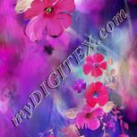 Colour:C