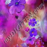Colour:D
