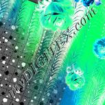 Colour:F