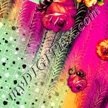 Colour:K