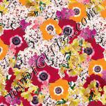 Colour:A
