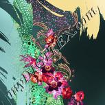 Colour:B