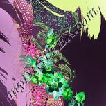 Colour:C