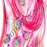 Colour:C