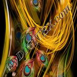 Colour:F