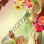 Colour:B