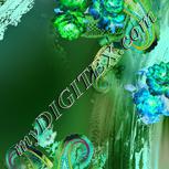 Colour:F
