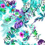 Colour:B
