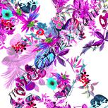 Colour:C