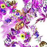 Colour:D