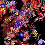 Colour:F