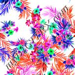 Colour:B