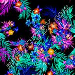 Colour:F