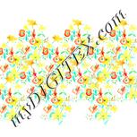 Colour:K