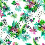 Colour:A