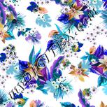 Colour:B