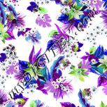 Colour:C
