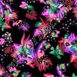 Colour:F