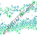 Colour:D