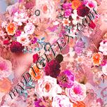 Colour:J